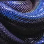 Some Language Features in Python Some Language Features in Python