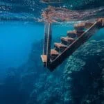 Overview of Some Deep Learning Libraries pexels-francesco-ungaro-3634369