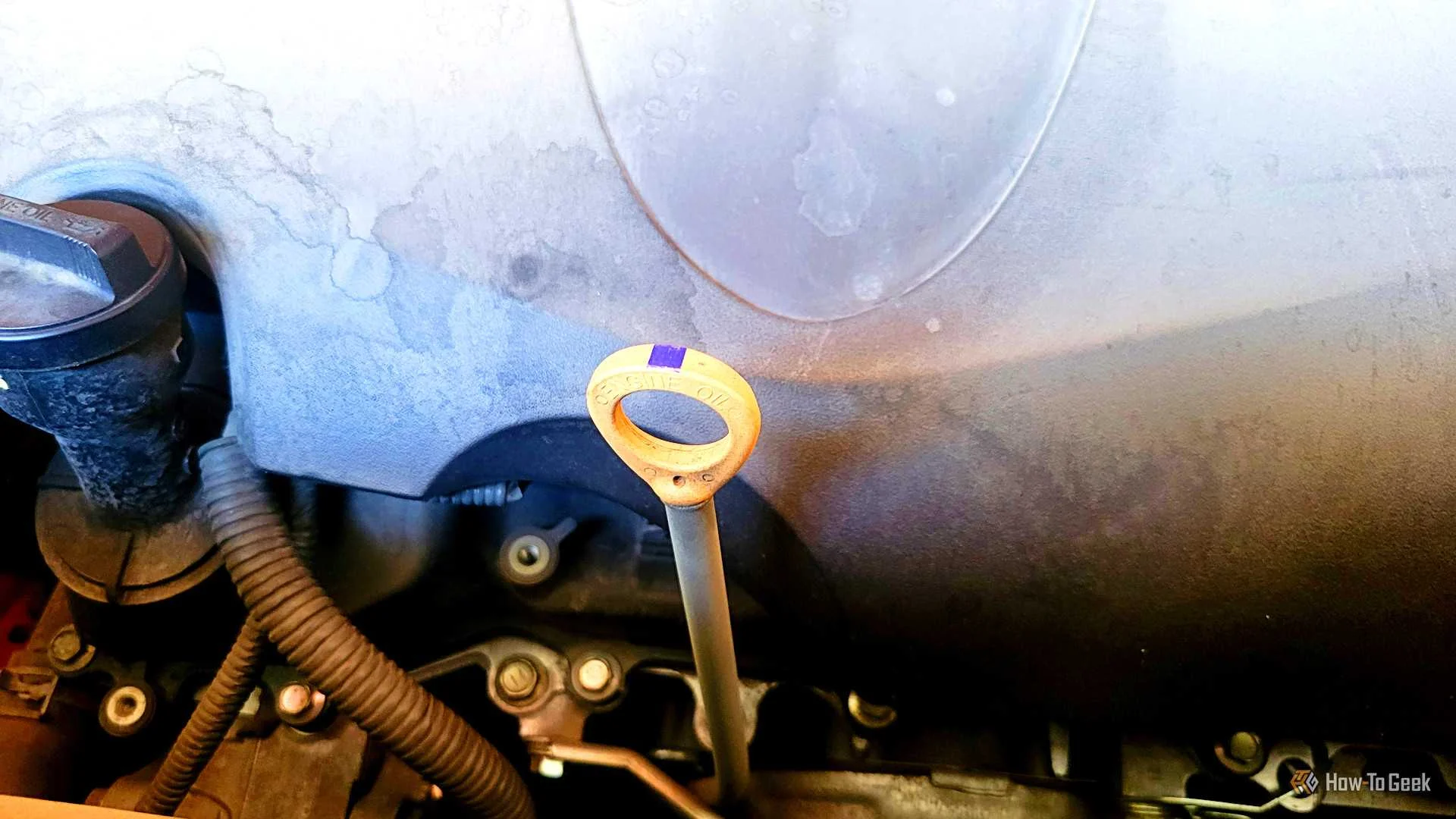 A dipstick for checking oil in a car engine